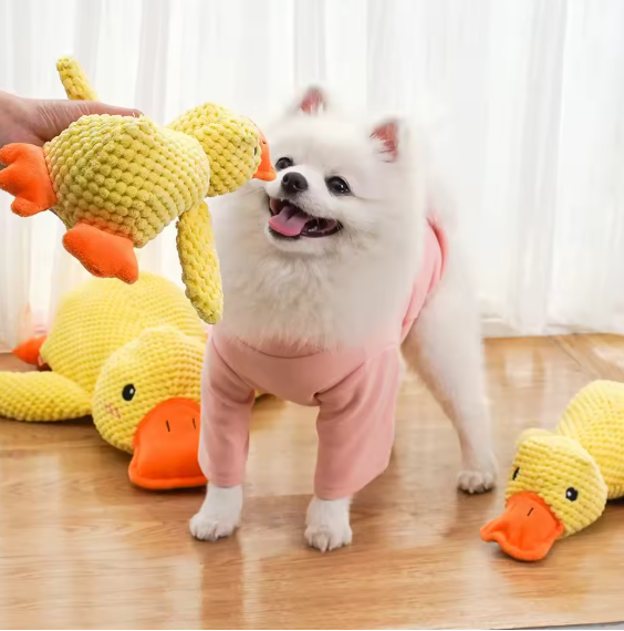 Squish-N-Quack