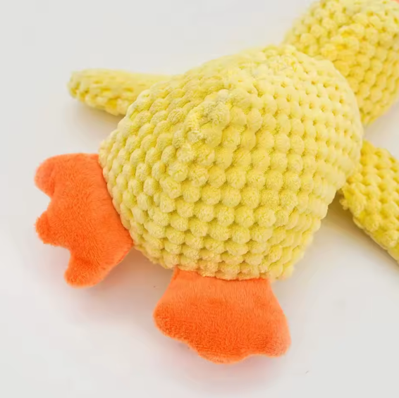 Squish-N-Quack