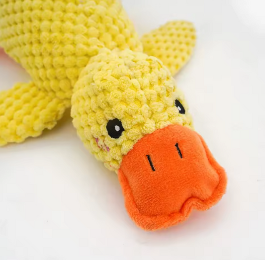 Squish-N-Quack